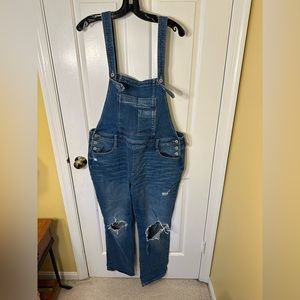 Arizona Jean Company Blue Denim Overalls